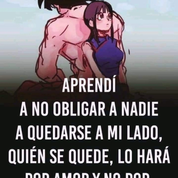 lovo10040o